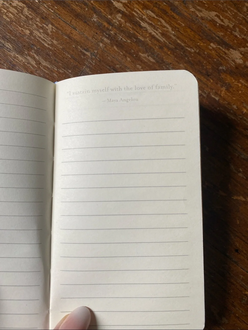 Set of 2 Small Notebooks/Journals